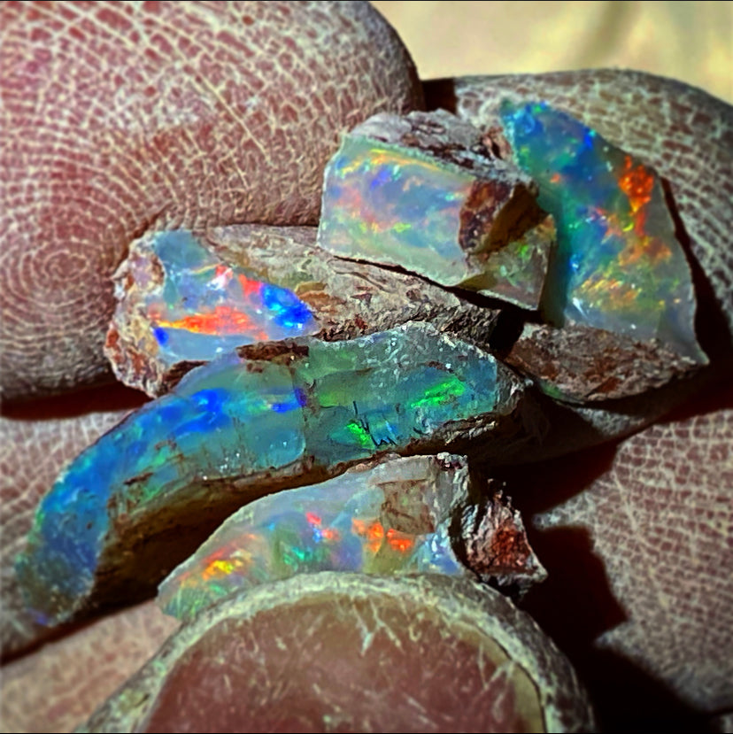 We head bush for another crack at the big one. A few pretty small ones later we are still in the hunt! From one end of Coober Pedy’s vast fields to the other we searched to tease out something impressive to take home.