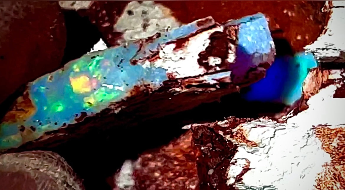 Neptune' Rare Genuine Australian Opal 14k White Gold Pendant Necklace 9.7ct N63