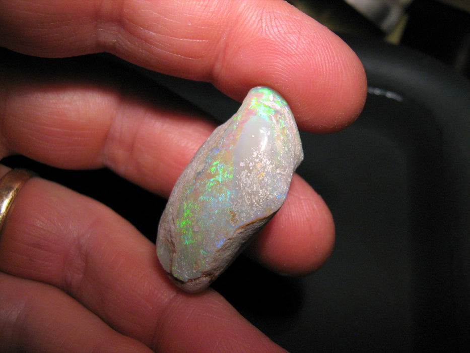 Rare Opal Shell Gem Australian Collectors Specimen 43.5 ct F80