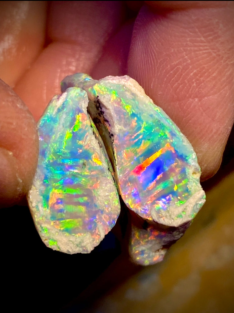 We dig 8k per ounce Dead Horse Gully super gem shells. Early October 2021..