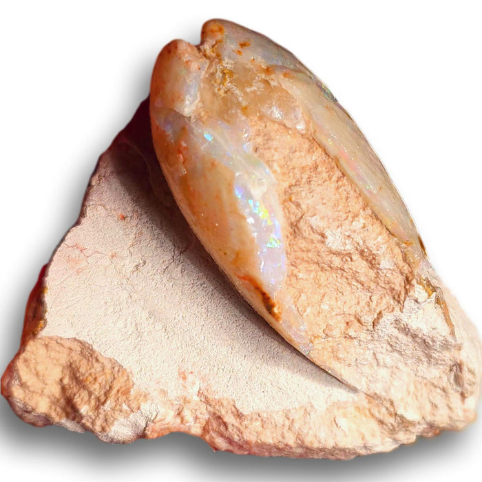 Rare Opal Shell Gem Australian Collectors Specimen 165ct K02