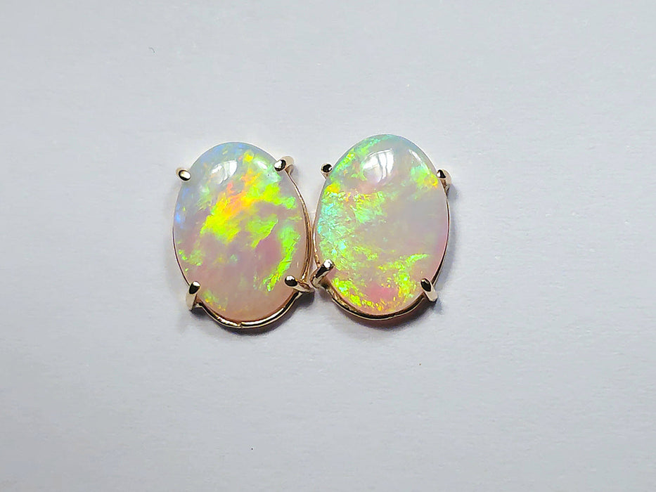 Citrus Drops' Natural Solid Australian Gold Screwback Opal Earrings 7ct M91