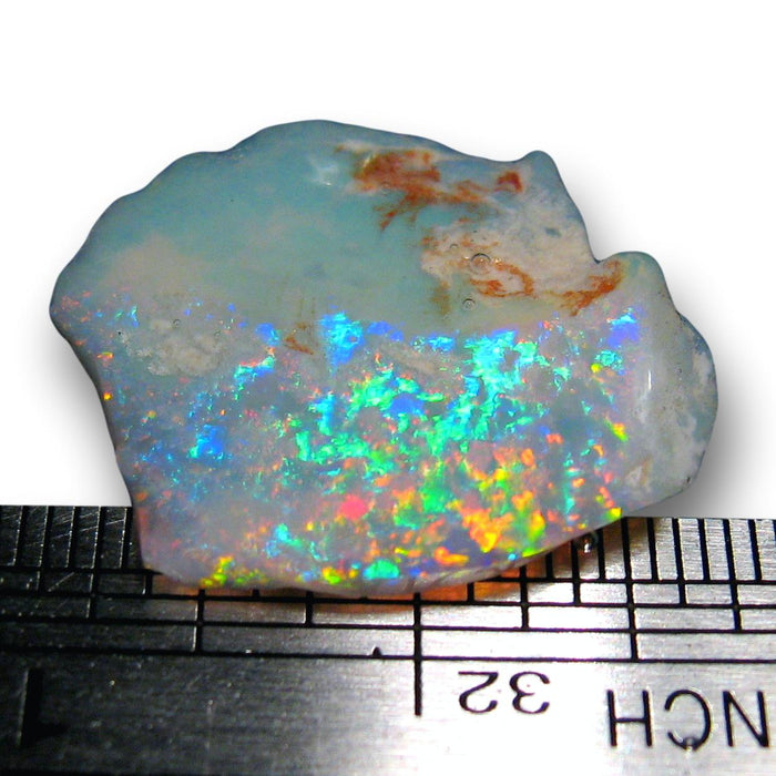 Fiery Australian Opal Shell Fossil Collectors Specimen 10ct K68