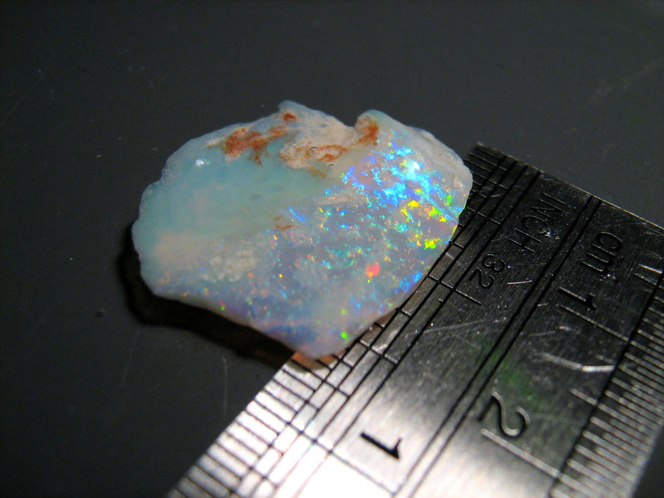 Fiery Australian Opal Shell Fossil Collectors Specimen 10ct K68