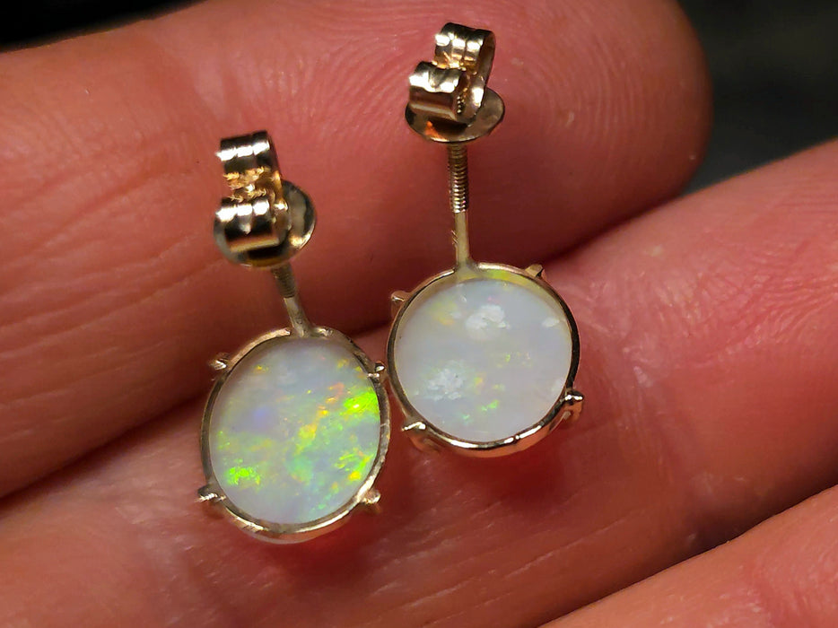 Citrus Drops' Natural Solid Australian Gold Screwback Opal Earrings 7ct M91