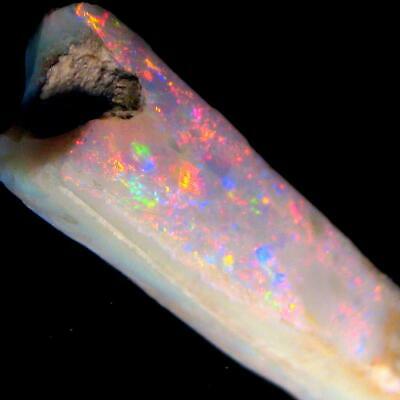 Rare Australian Opal Fossil Belemnite Pipe Specimen Bright Gem Color 50 carats