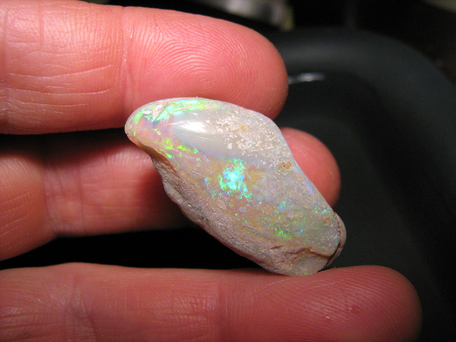 Rare Opal Shell Gem Australian Collectors Specimen 43.5 ct F80